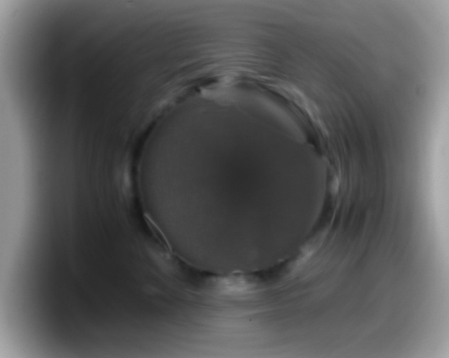 X0000099990524200805301415