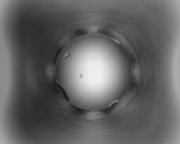 X0000099990525200805301415