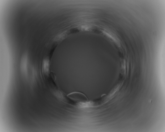 X0000099990526200805301415
