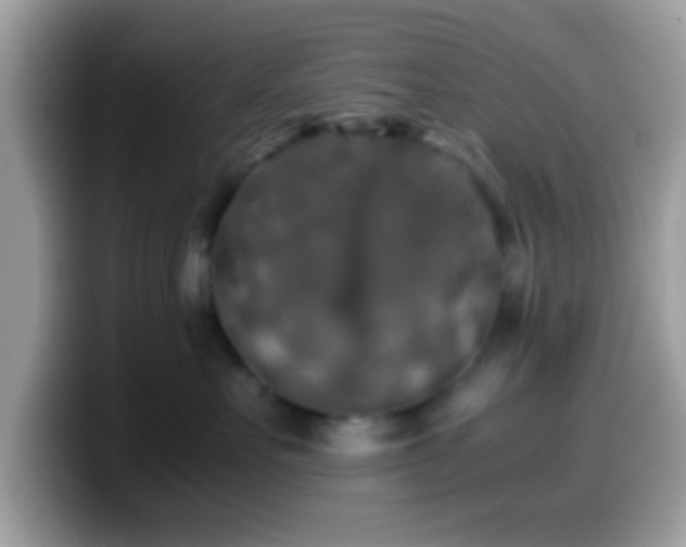 X0000099990527200805301415