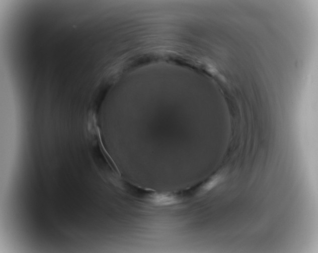 X0000099990528200805301415