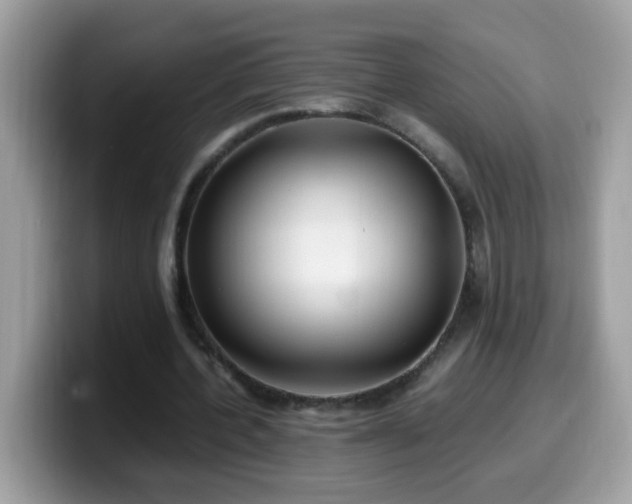 X0000099990532200805301415