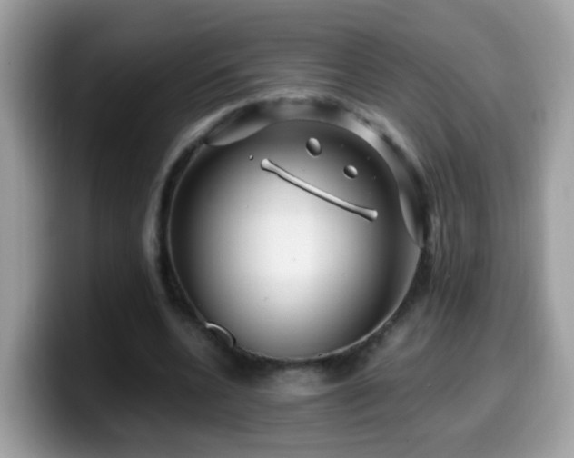 X0000099990536200805301415