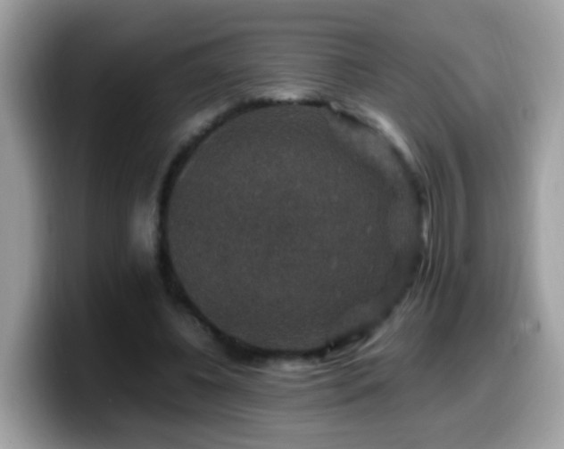 X0000099990540200805301415