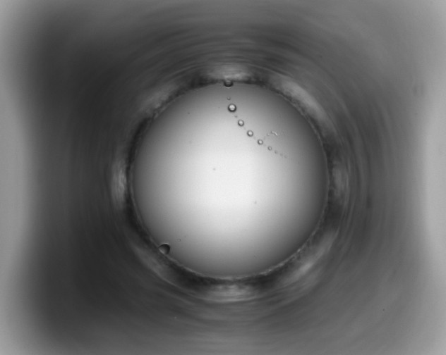 X0000099990541200805301415