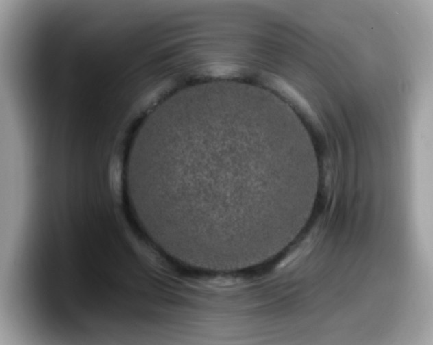 X0000099990542200805301415