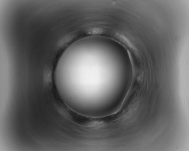 X0000099990543200805301415