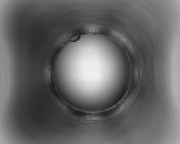 X0000099990545200805301415