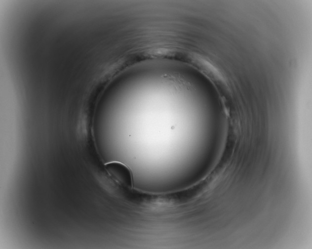 X0000099990546200805301415