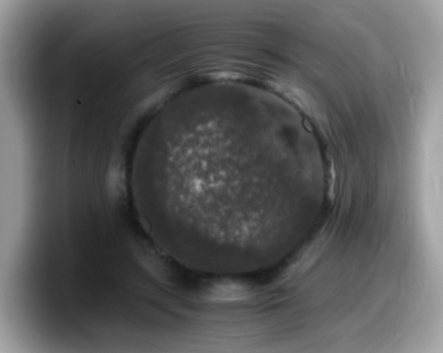 X0000099990547200805301415