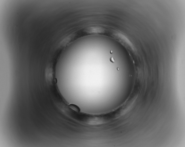 X0000099990549200805301415