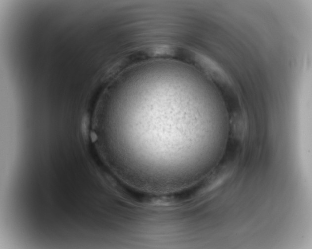 X0000099990550200805301415