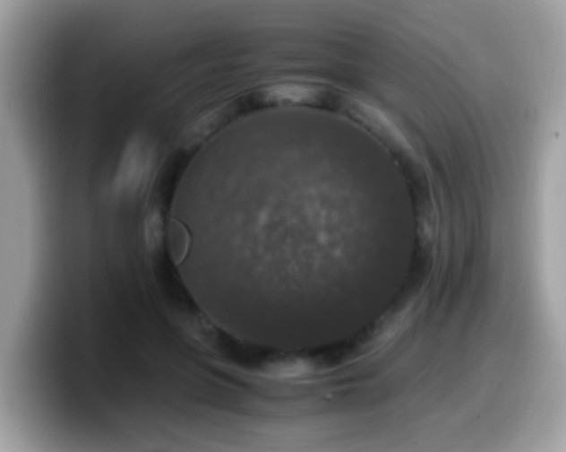 X0000099990551200805301415