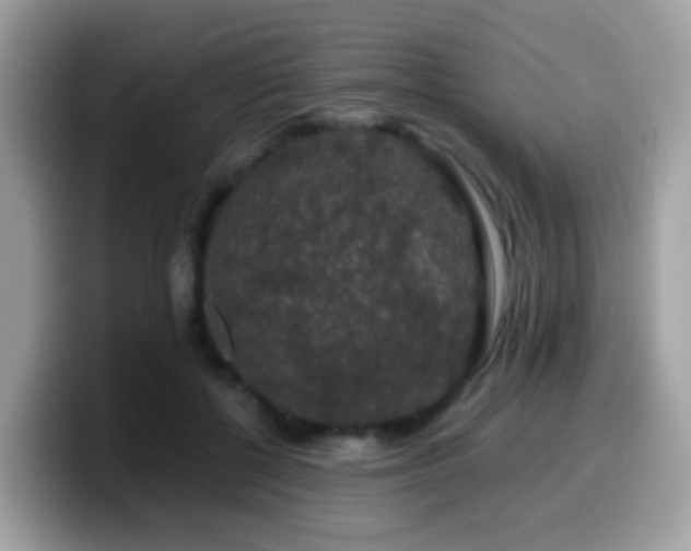 X0000099990552200805301415