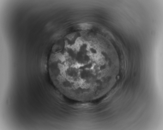 X0000099990553200805301415