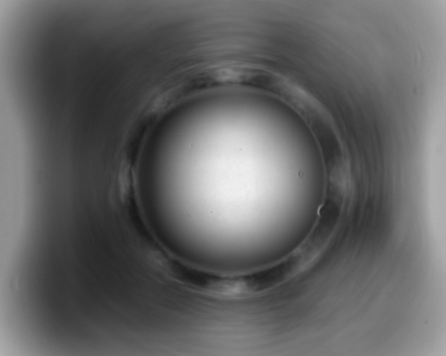 X0000099990554200805301415