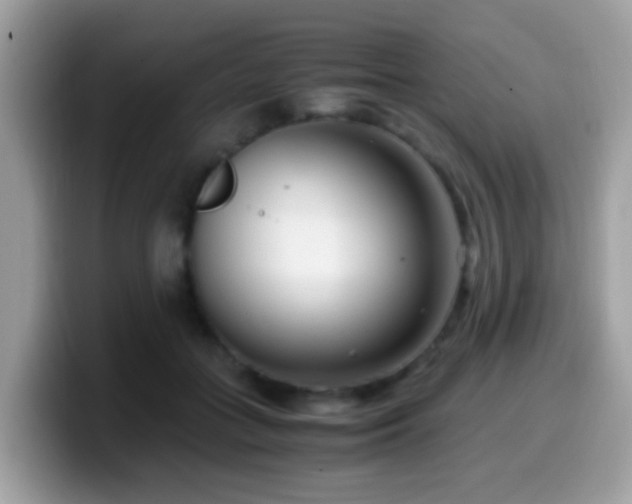 X0000099990555200805301415