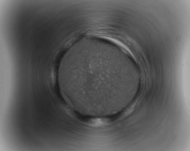 X0000099990558200805301415
