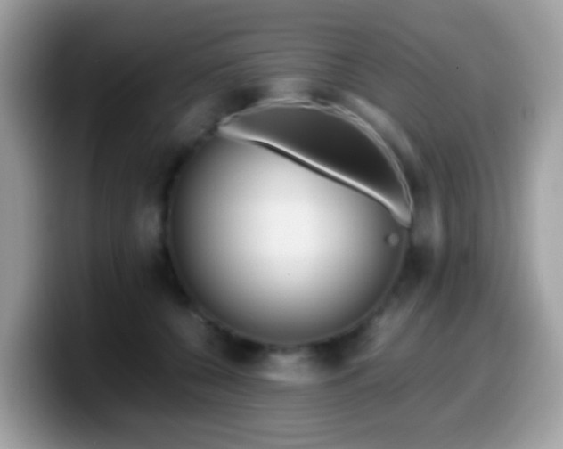 X0000099990560200805301415