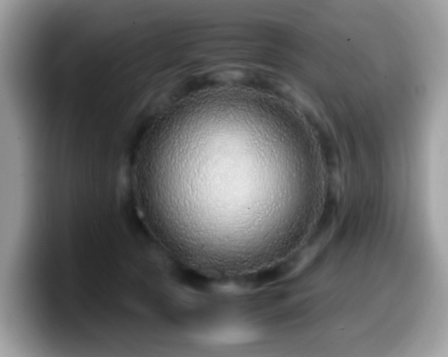 X0000099990561200805301415