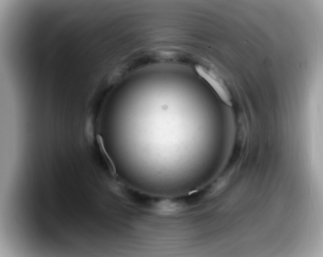 X0000099990562200805301415