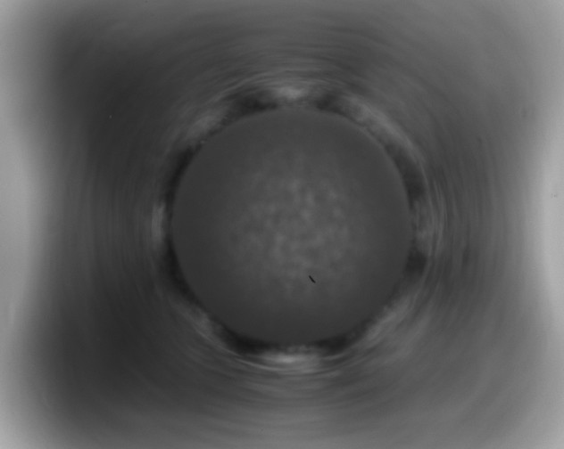 X0000099990563200805301415