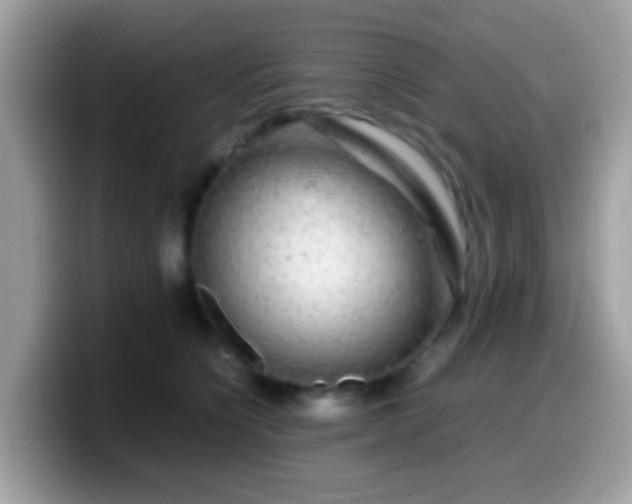 X0000099990564200805301415