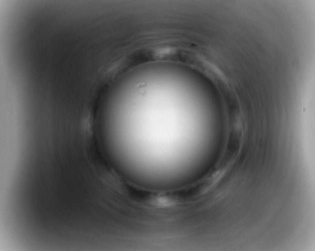 X0000099990565200805301415