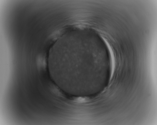 X0000099990566200805301415