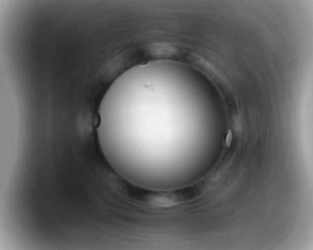 X0000099990567200805301415