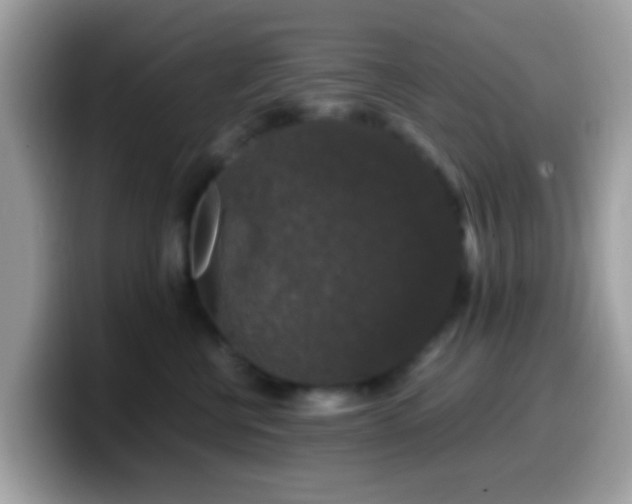 X0000099990570200805301415