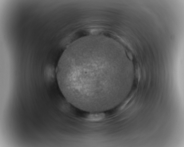X0000099990571200805301415