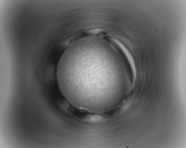 X0000099990572200805301415
