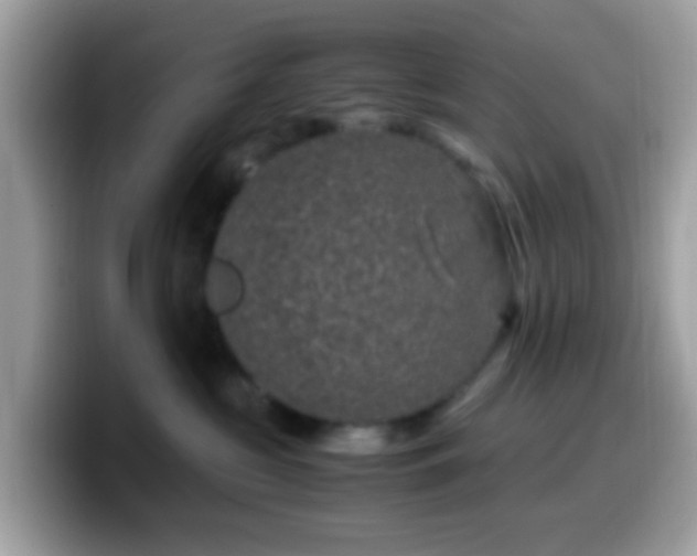 X0000099990573200805301415