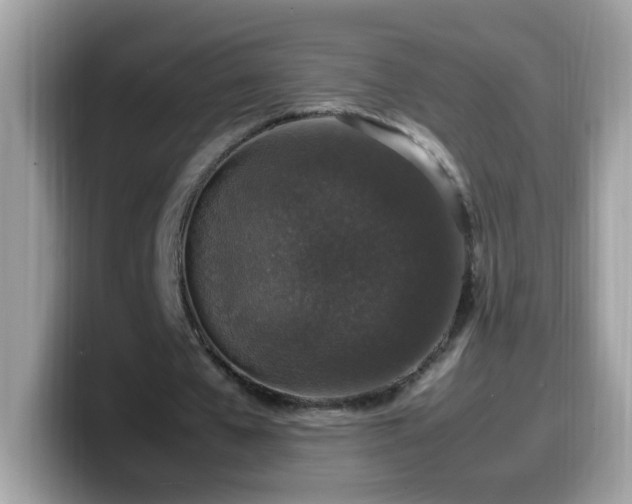 X0000099990577200805301415
