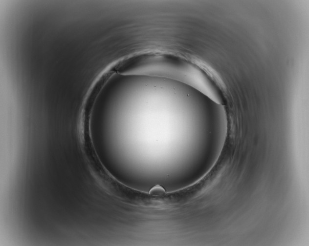 X0000099990580200805301415