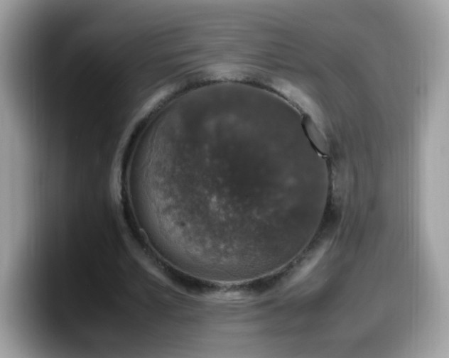 X0000099990581200805301415