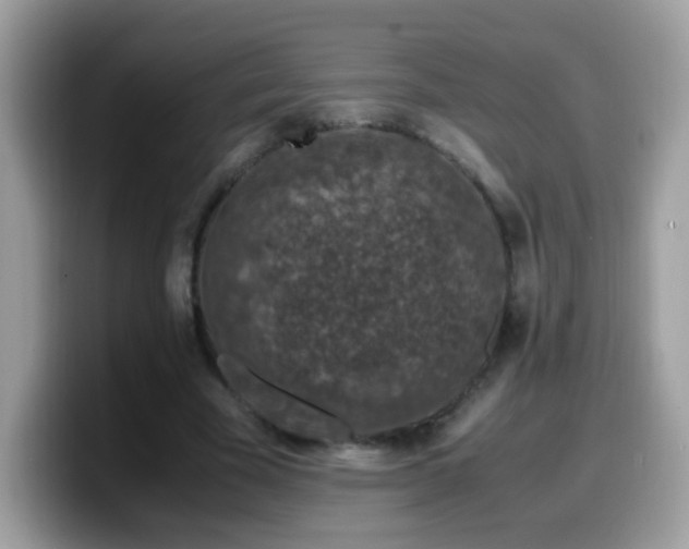 X0000099990585200805301415