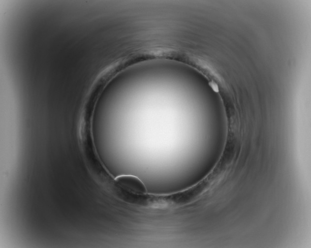 X0000099990587200805301415