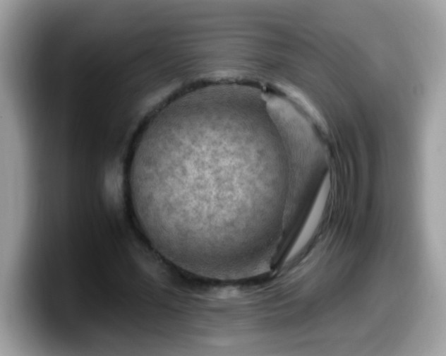 X0000099990588200805301415