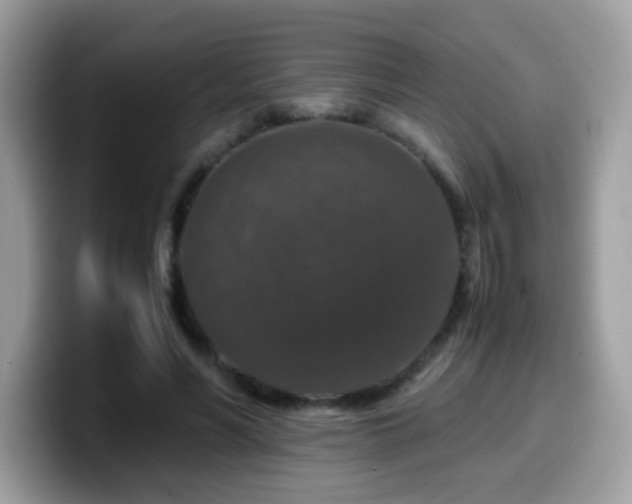 X0000099990590200805301415