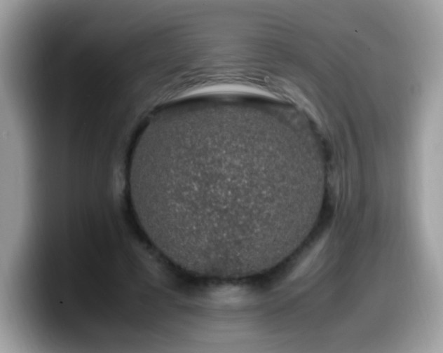 X0000099990593200805301415