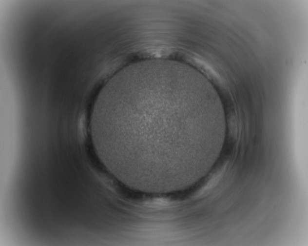 X0000099990594200805301415