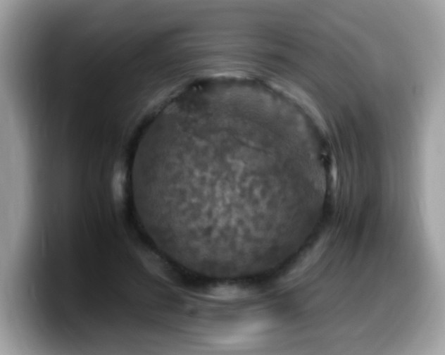 X0000099990596200805301415