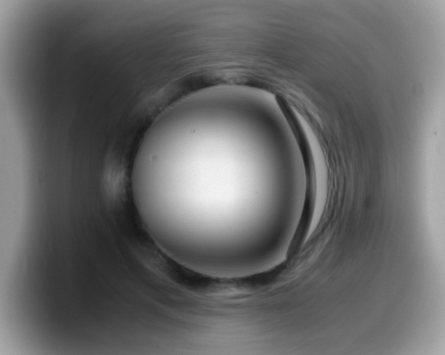 X0000099990597200805301415
