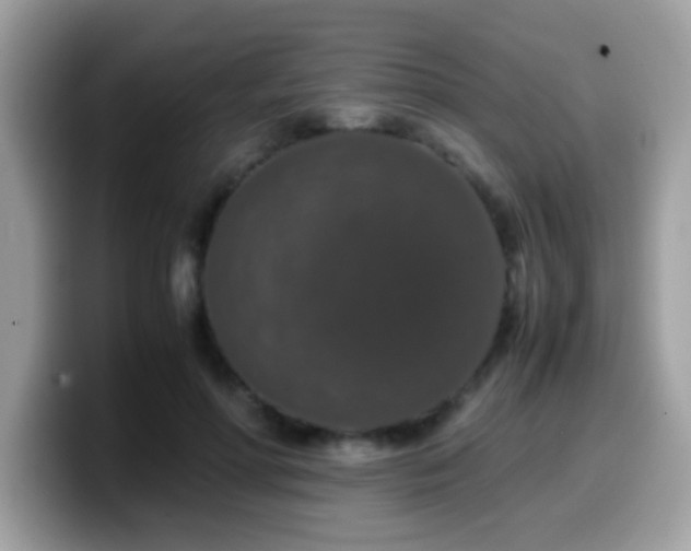 X0000099990598200805301415