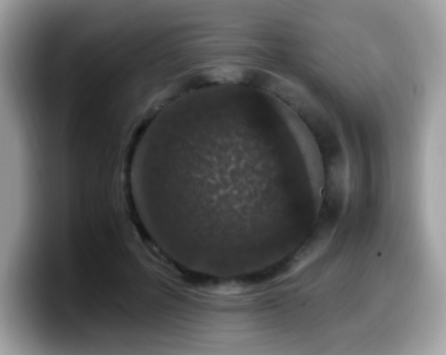 X0000099990600200805301414