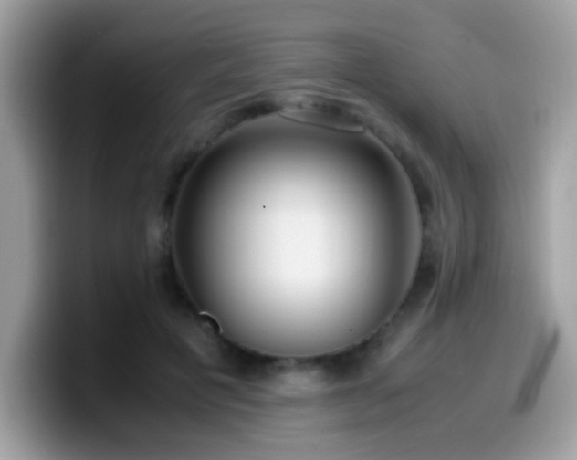 X0000099990601200805301414