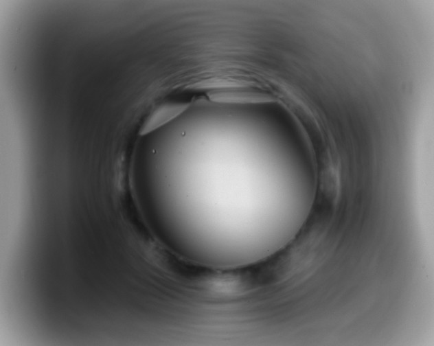 X0000099990604200805301414