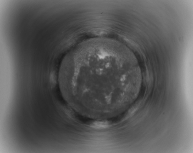 X0000099990606200805301414
